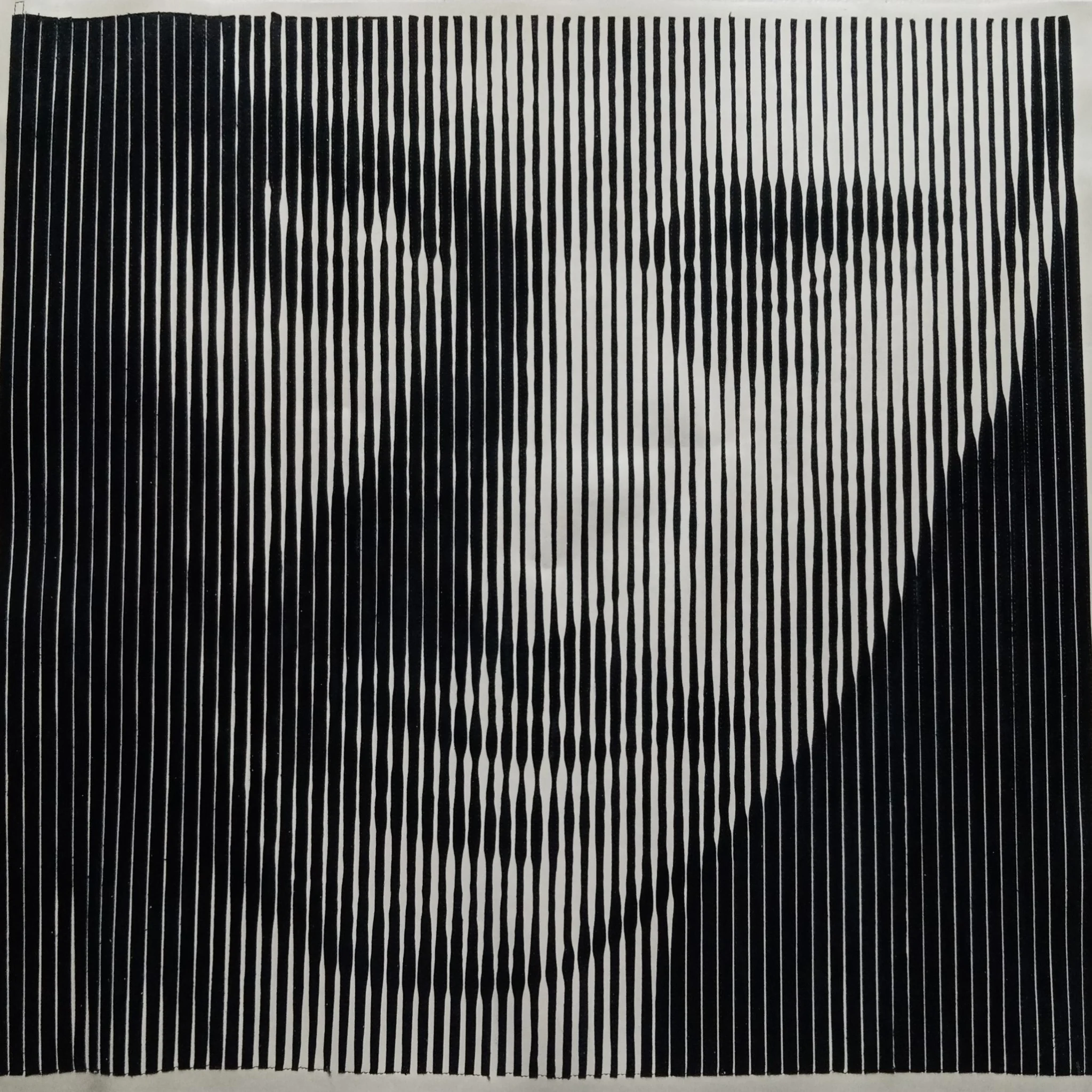 Photographie de l’œuvre — Johnny Hallyday