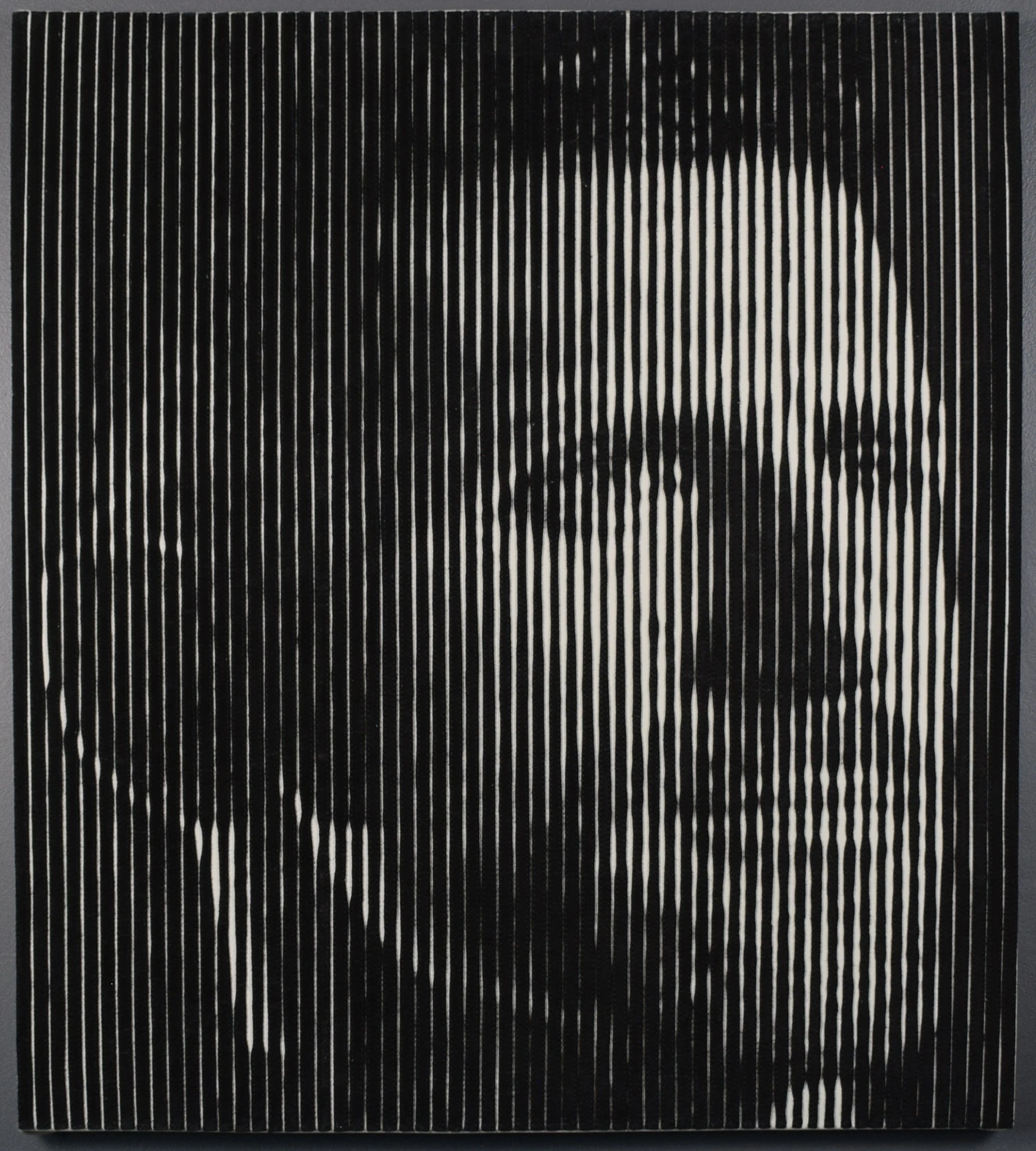 Photographie de l’œuvre — Novak Djokovic