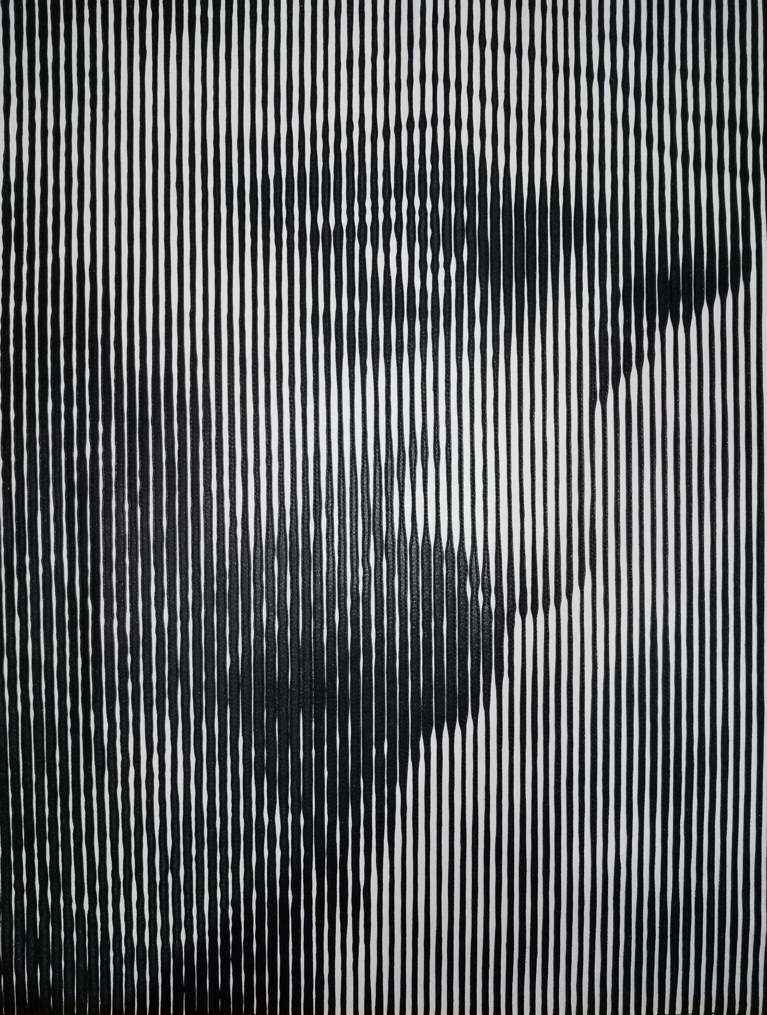 Photographie de l’œuvre — Vincent Lindon